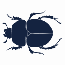 Blue scarab seen from above.
